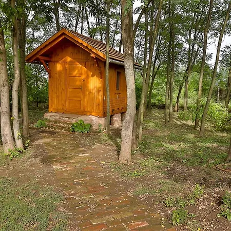 Mezes Vendeghaz Es Apiterapias Koezpont 4*