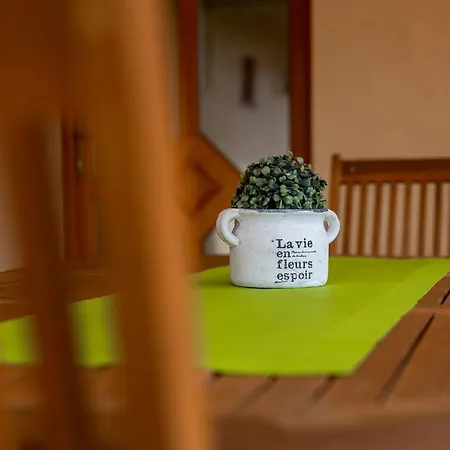 Mezes Vendeghaz Es Apiterapias Koezpont Guest house 4*