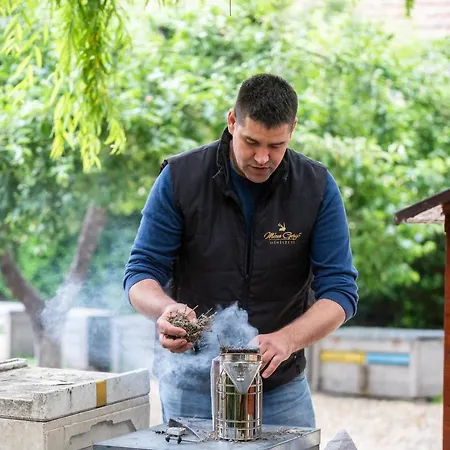 Mézes és Apiterápiás Központ Vendégház *